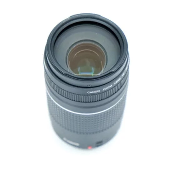 Canon EF 75-300mm f4-5.6 III - Image 3